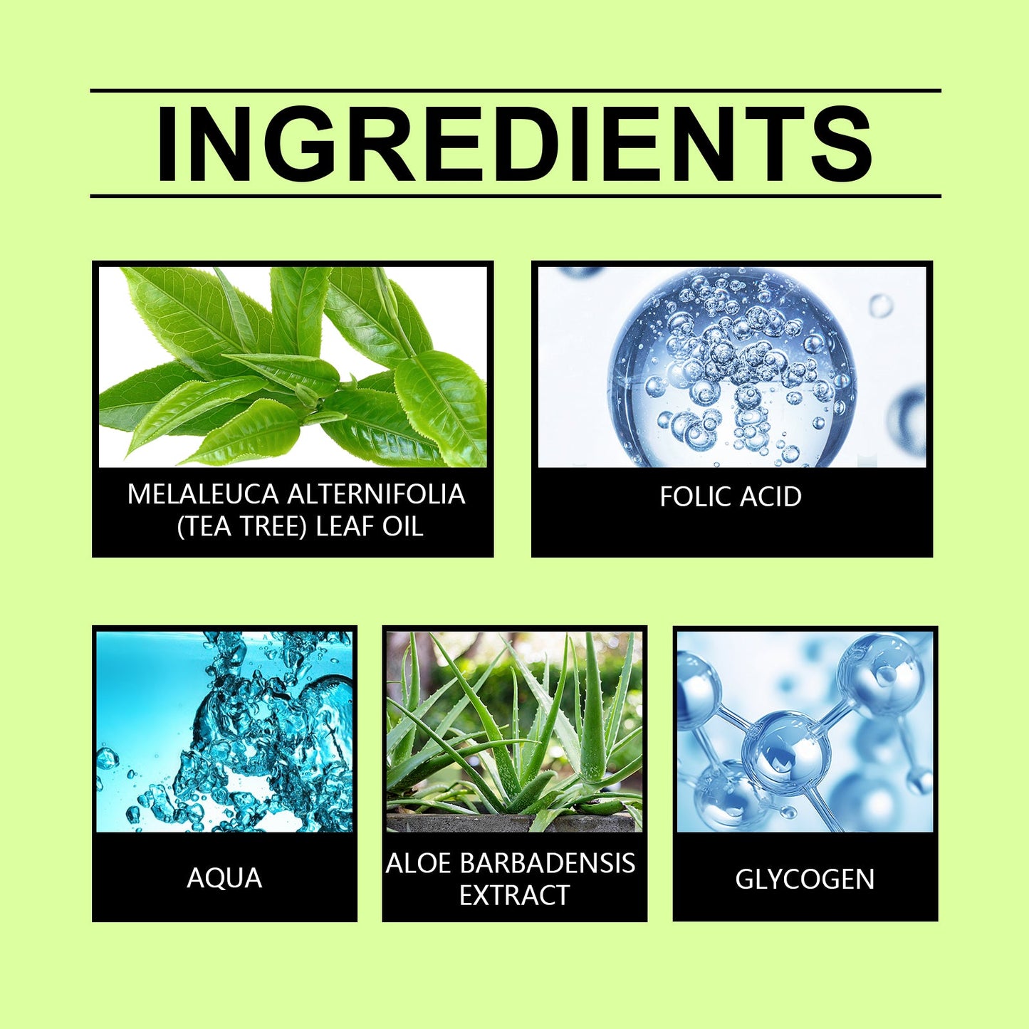 Hoegoa Hair Care Tea Tree Essential Oil