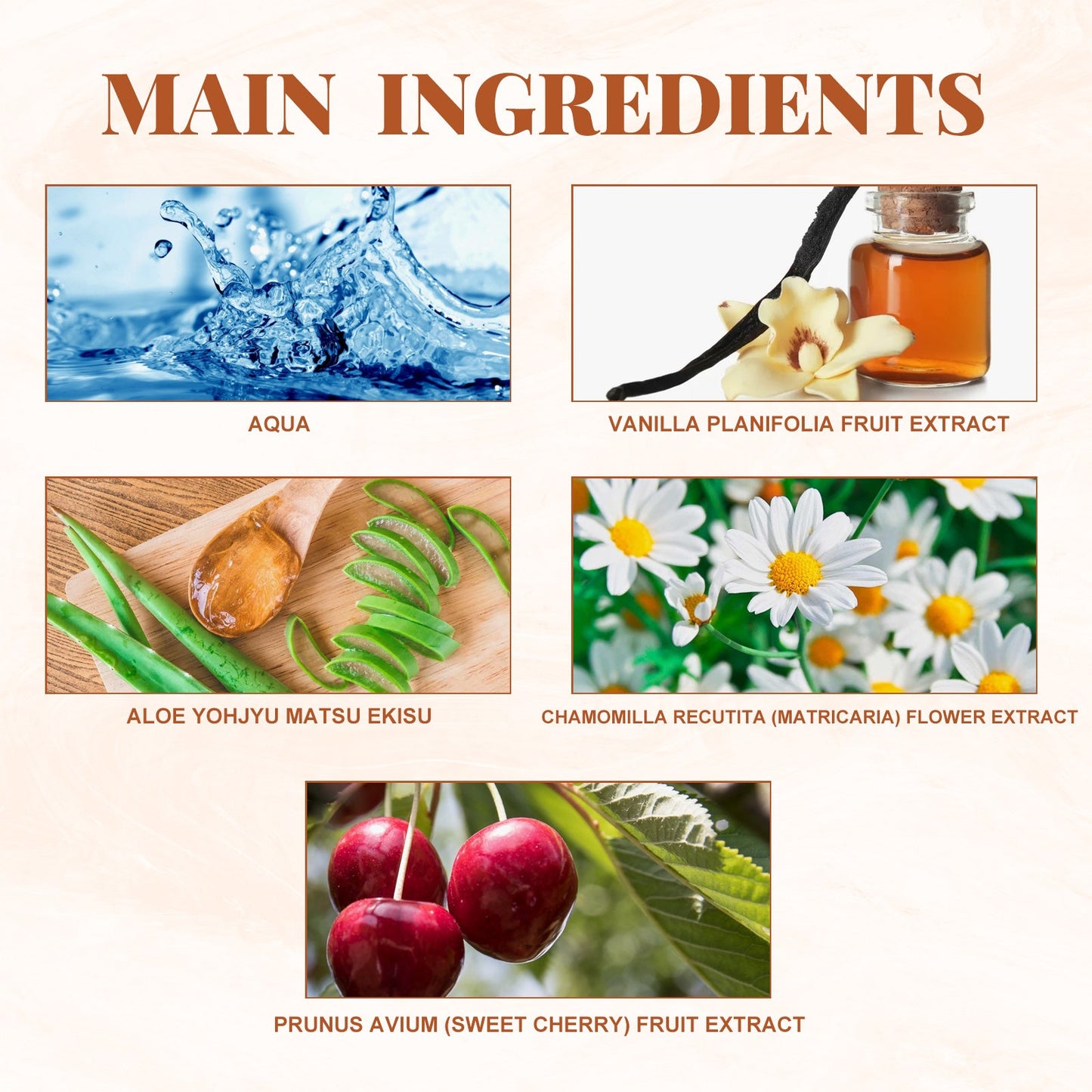 Amber Lover Fragrance Mist