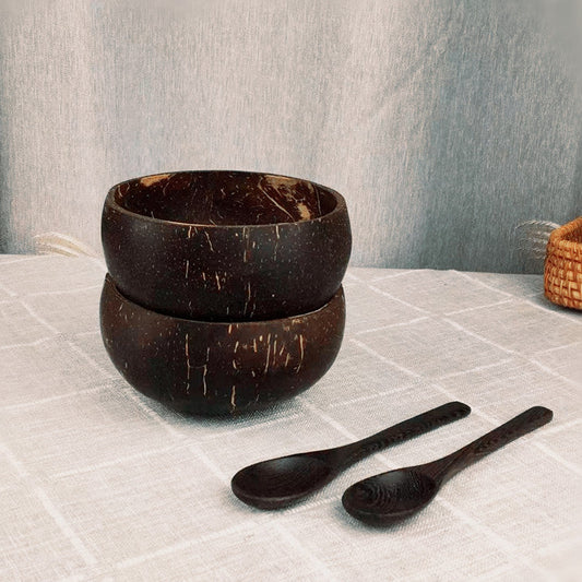 Coconut Shell Bowl
