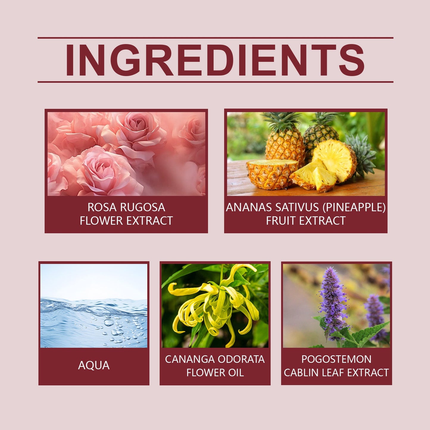 Rose Essential Oil Fragrance