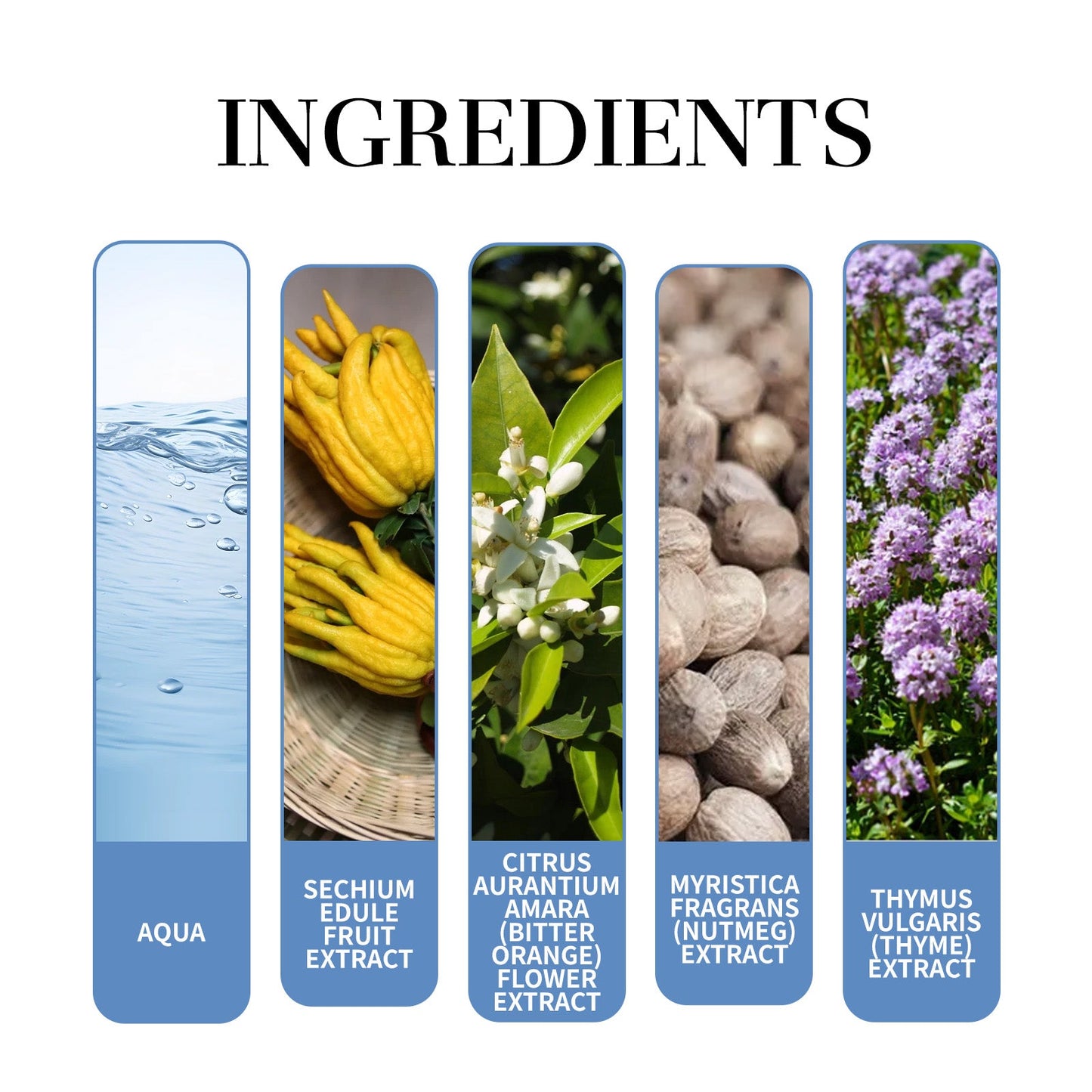 Magnet Charming Perfume